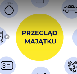 Grafika materiału Przegląd majątku